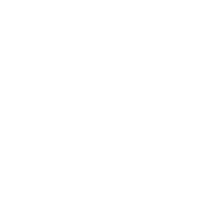 Fiat Professional