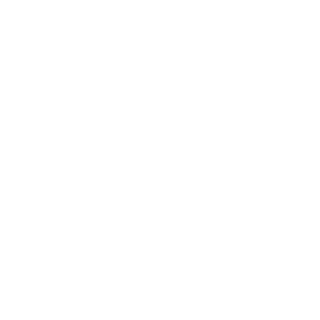 Leapmotor