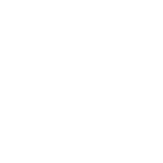 Maxus